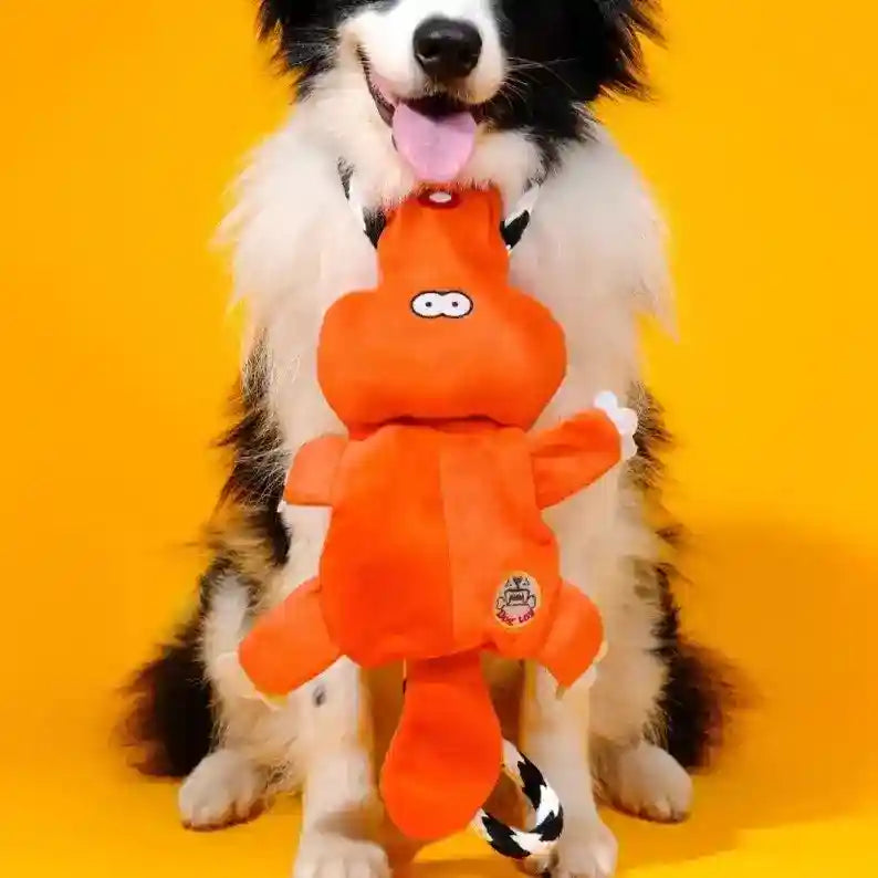 カモノハシのロープおもちゃ 犬用 - 丈夫な綱引き用
