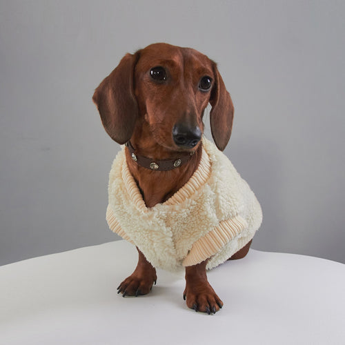 Cappotto Natalizio per Cani Santa's Baby - Pile Rosso by Dog Moda