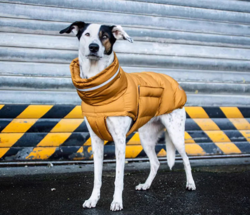 Piumino per cani imbottito antivento "Woom"