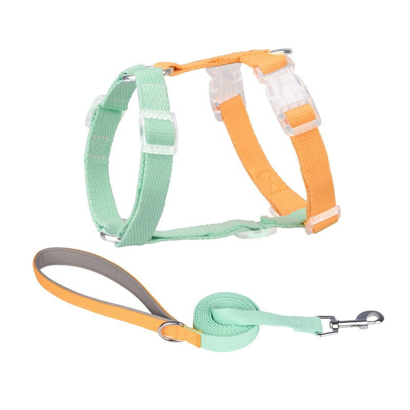 H "Color Rainbow" Leash and Harness Set