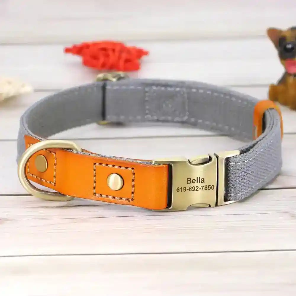 Collare Yatch per Cani in Pelle - Regolabile e Resistente by Dog Moda
