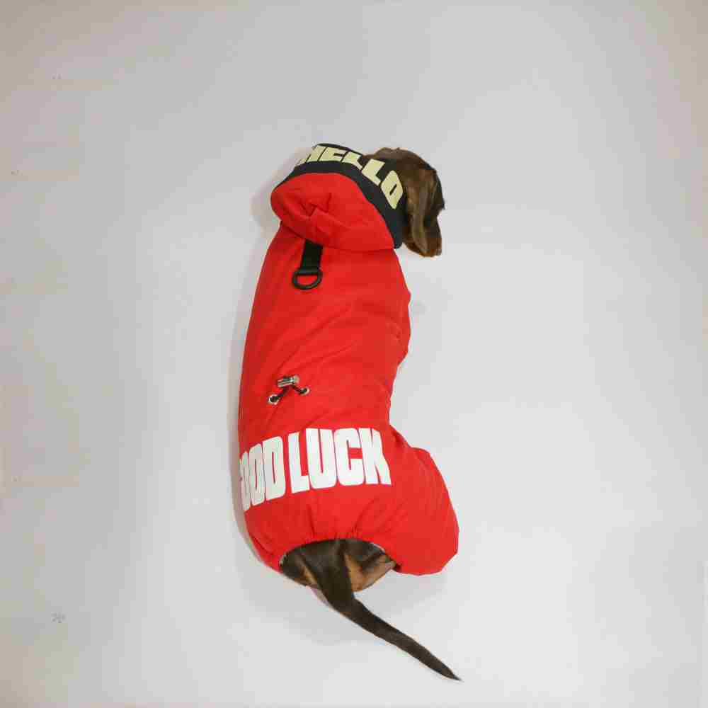 Impermeable para Teckel “Buena Suerte” – Caliente, Cómodo y Estiloso