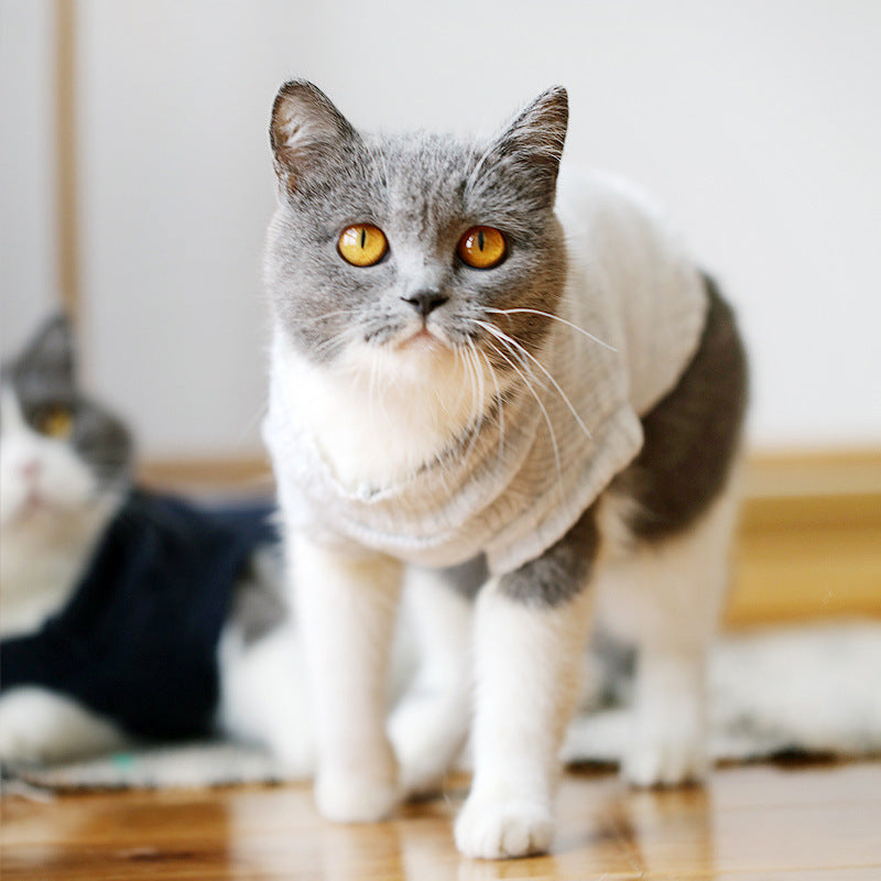 Cat Sweater – Soft, Warm and Available in Many Patterns