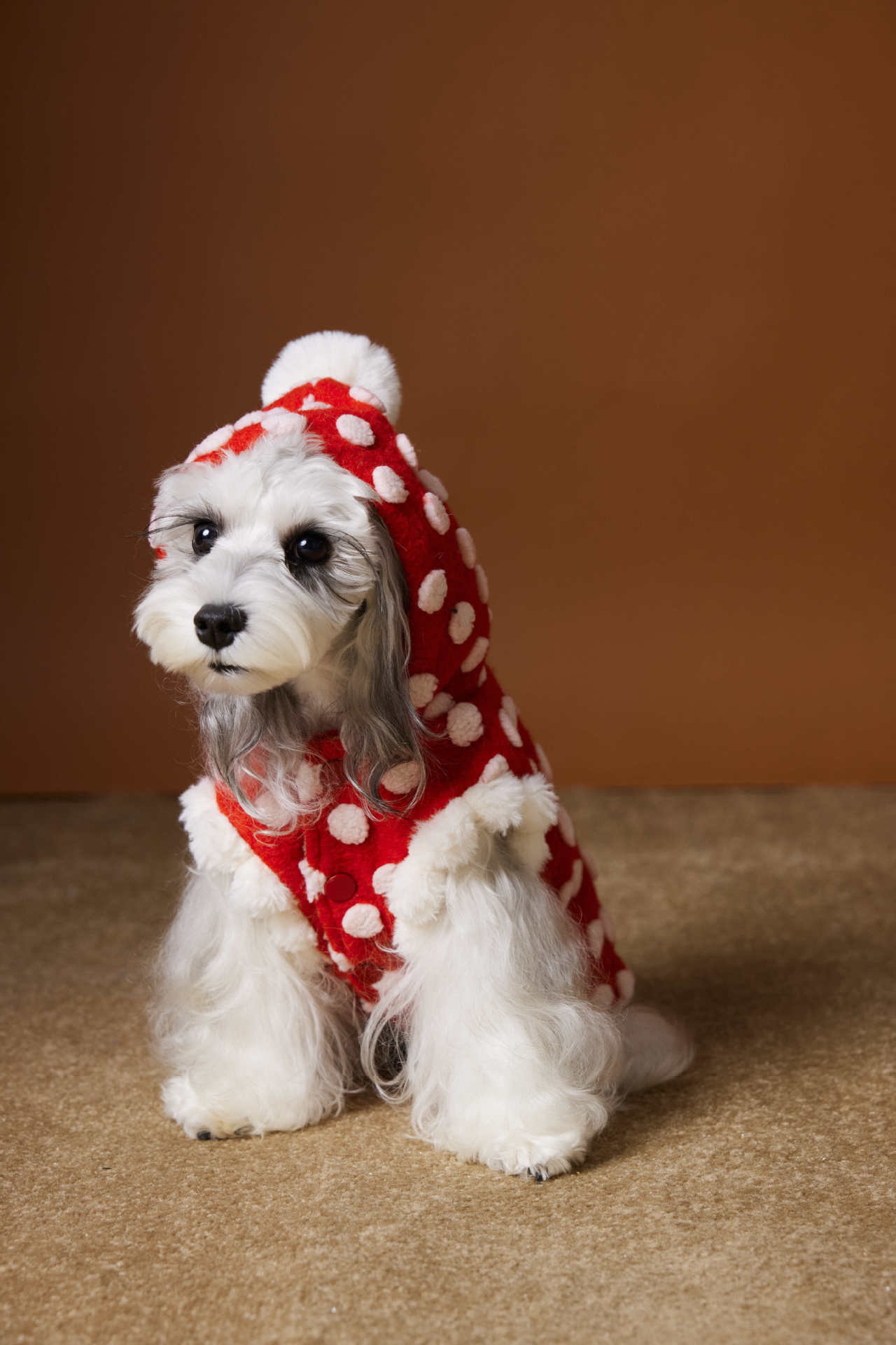 Red Polka Dot Dog Coat "Towney Bear" | DogModa