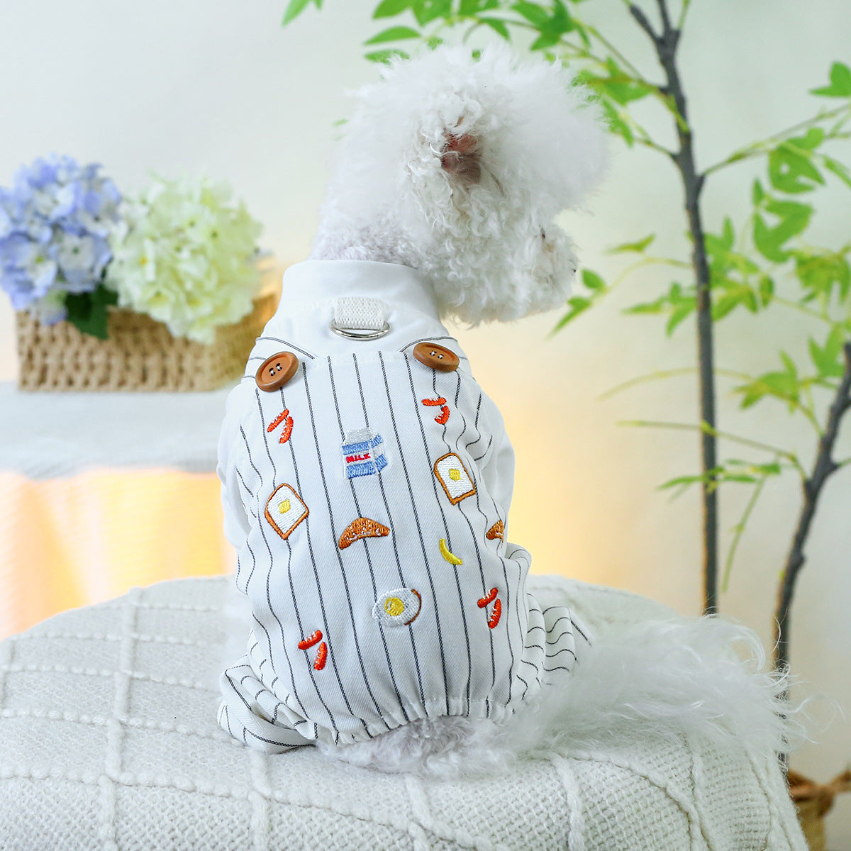 Tutina Breakfast per Cani Piccoli | Body con Pettorina e Zampe