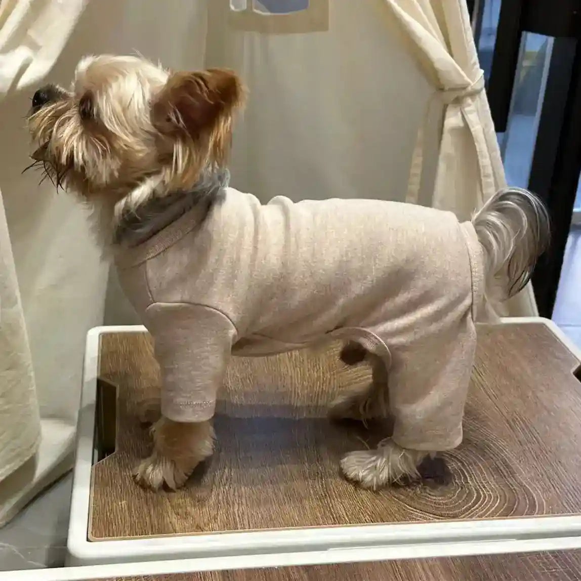 Tutina Cane 4 Zampe Elasticizzata - Pigiama Tinta Unita by Dog Moda