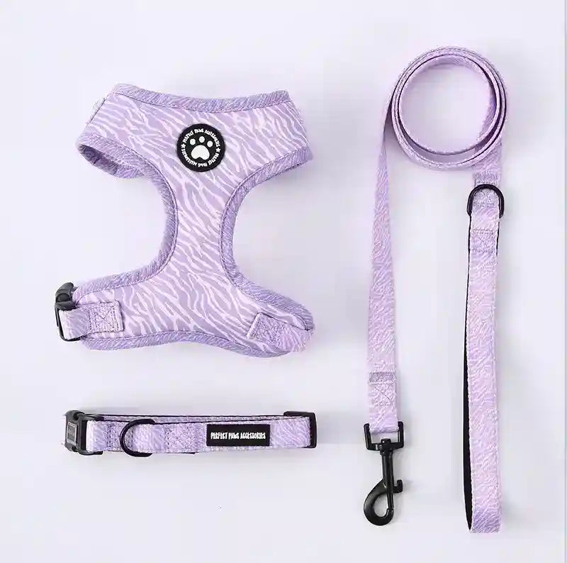 Set Pettorina Collare Guinzaglio Cani Perfect Paw by Dog Moda