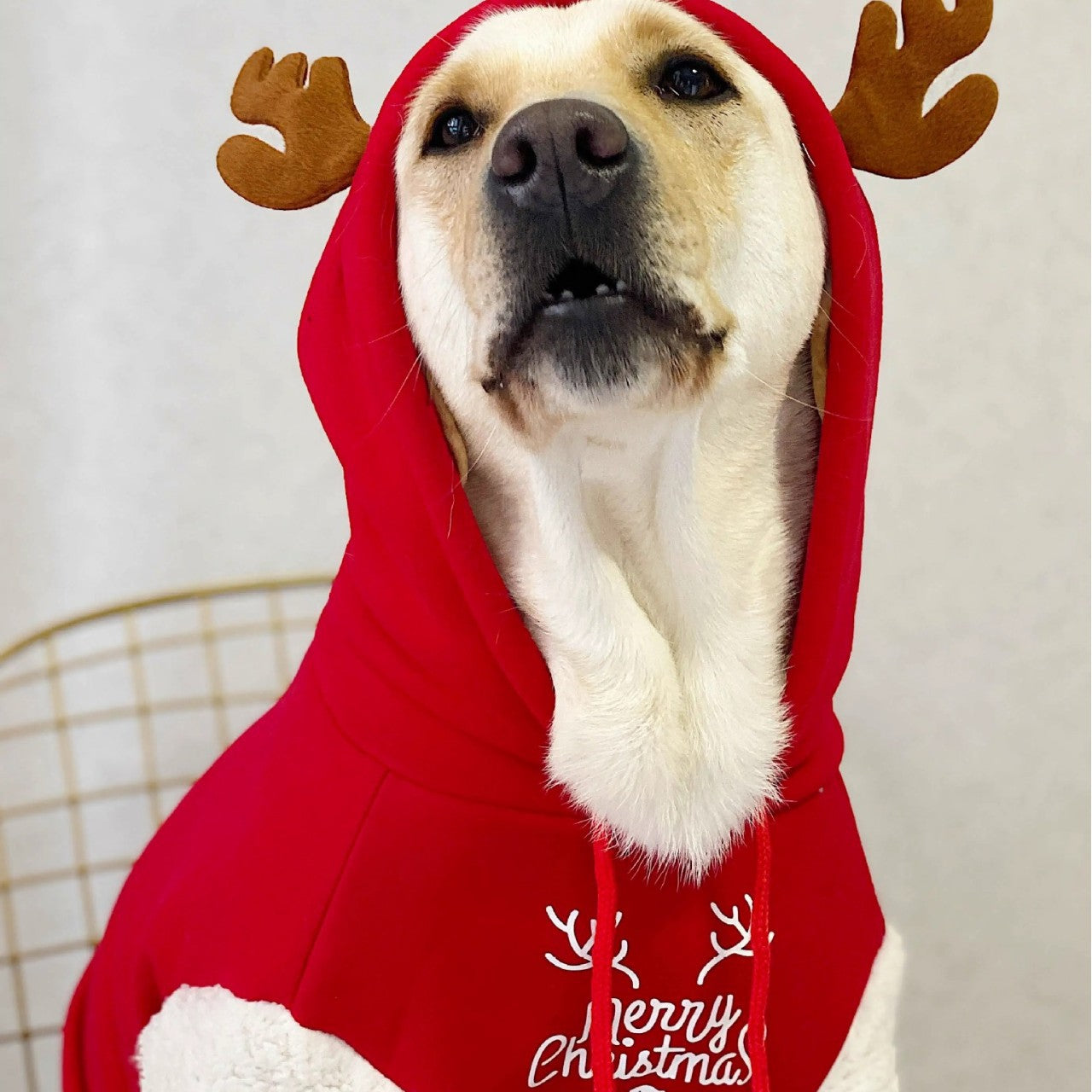 Sudadera Navideña para Perro y Gato Merry Christmas con Reno y Capucha