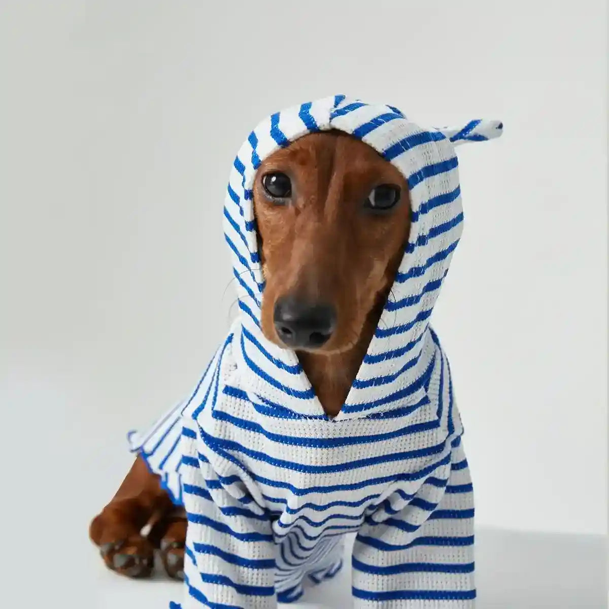 Maglia con Cappuccio per Cani e Gatti - Righe Rosse e Blu Traspirante by Dog Moda