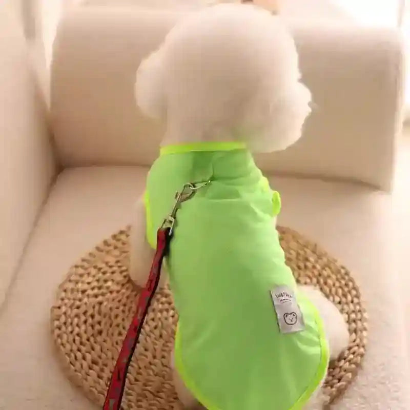 Maglietta per Cani "Lucky Bear" - Vest Smamicato con Anello per Guinzaglio by Dog Moda