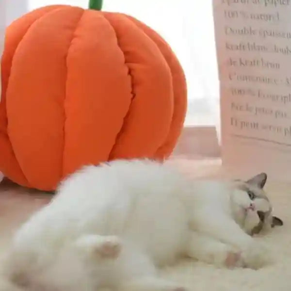 Pumpkin Cave Cat House - Warm and Enclosed