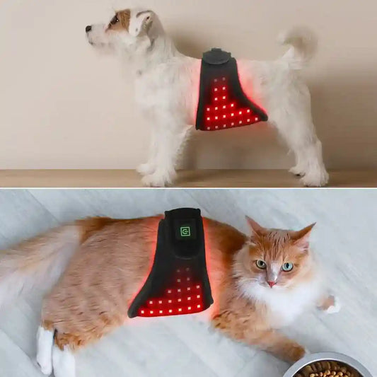Fascia Fisioterapica LED Rosso Cani Gatti Ricaricabile by Dog Moda