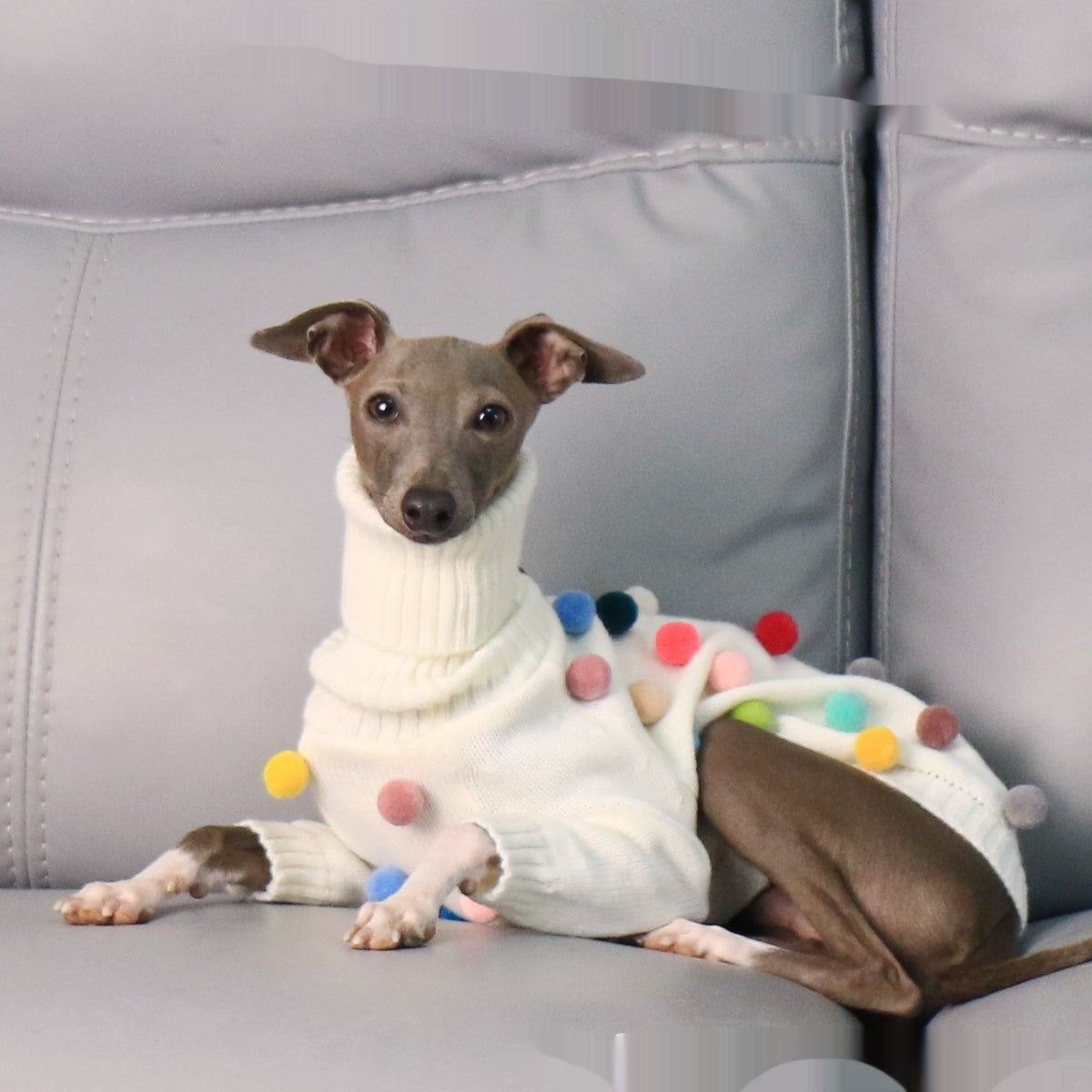 Maglione per Cani Arlecchino Bianco con Pon Pon Colorati by Dog Moda