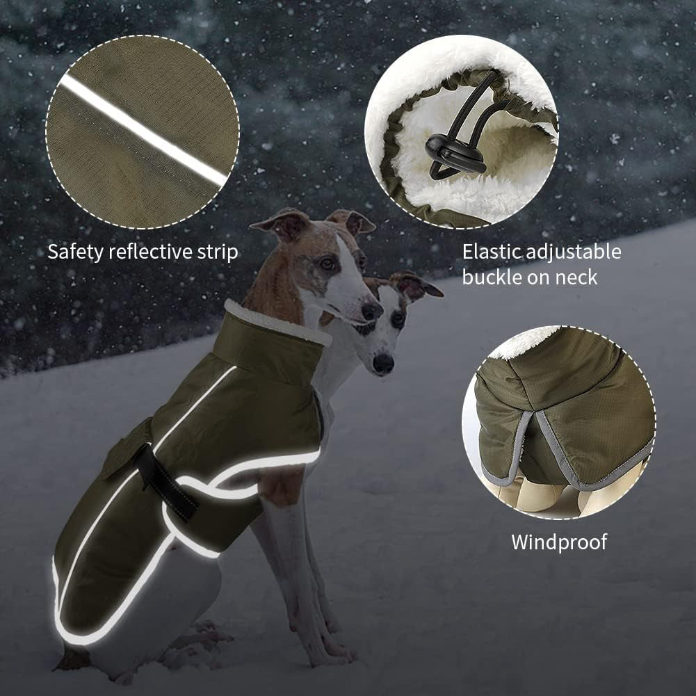 "Warm Cloud" Dog Coat with Fleece and Wind Protection