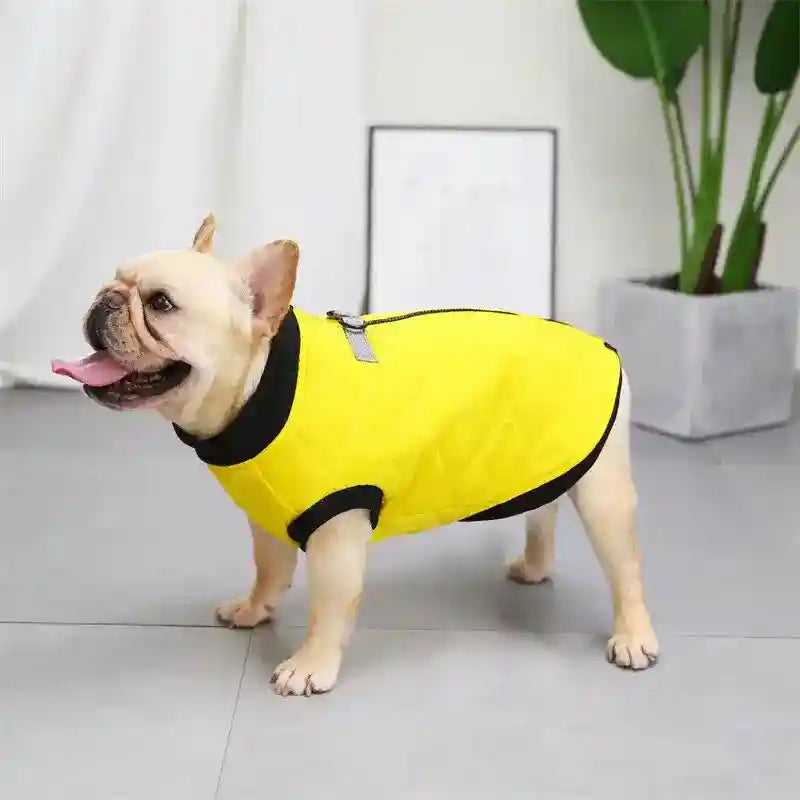 Cappottino Dot per Cani - Chiusura Dorso e Anello Guinzaglio by Dog Moda