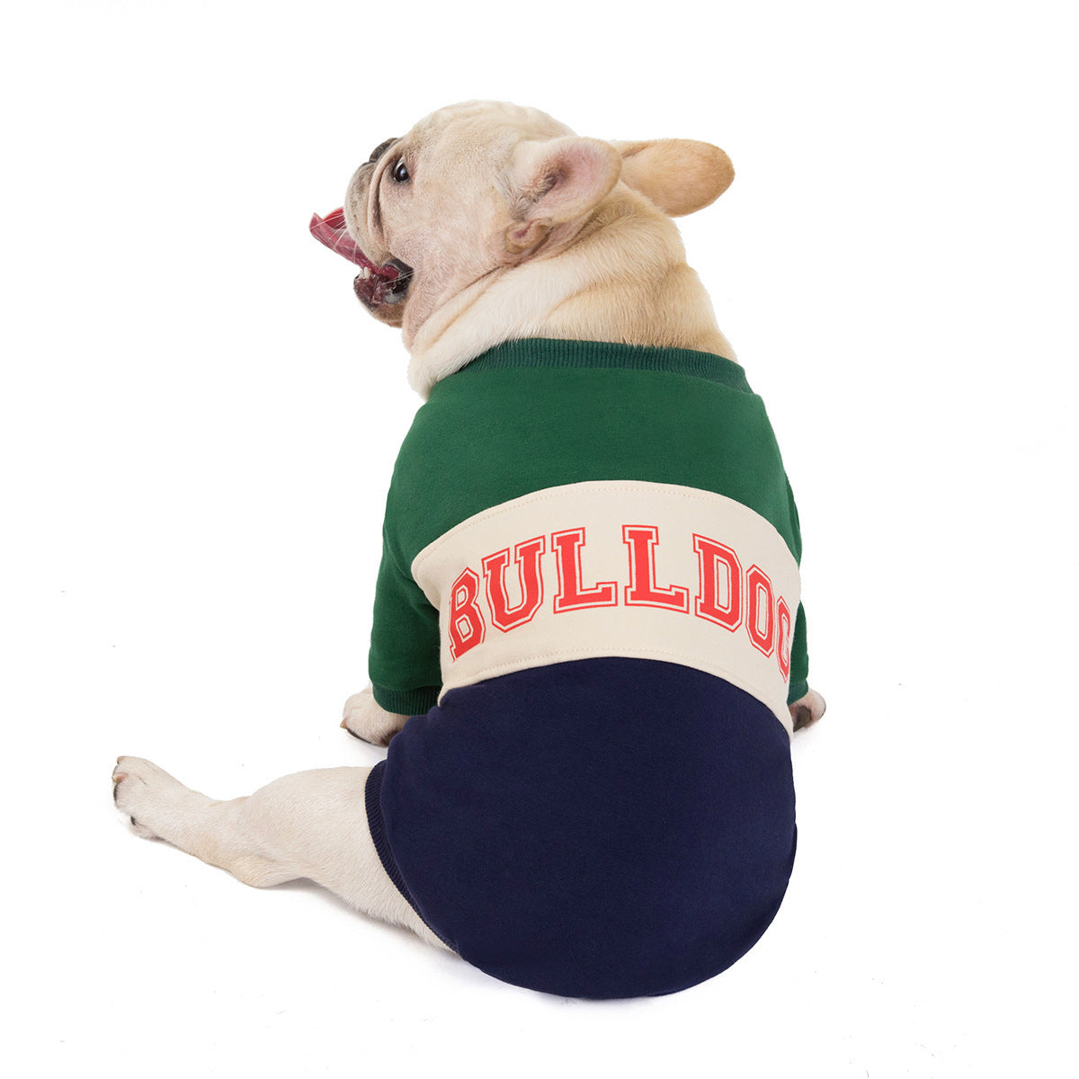 Felpa Casual per Cani Bulldog con Scritta "Bulldog" - Perfetta per Toraci Prominenti