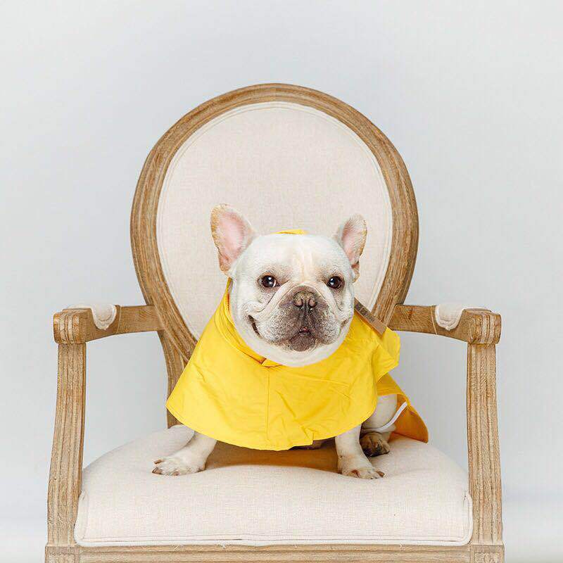 Dog raincoat with hood "Praga"