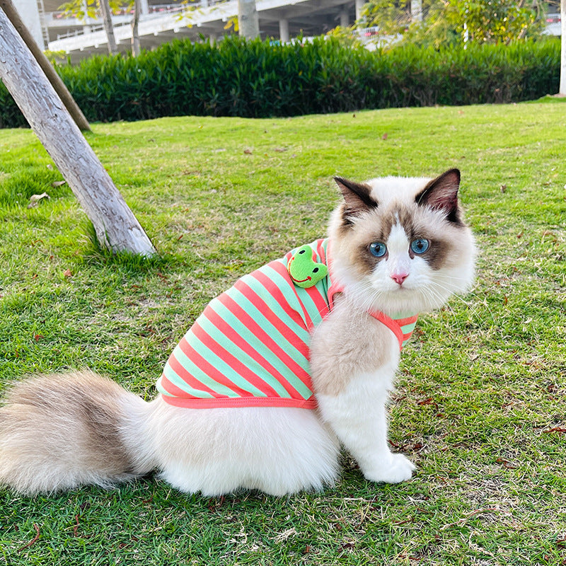 Cotton Cat Sweater Striped Panda or Frog | DogModa
