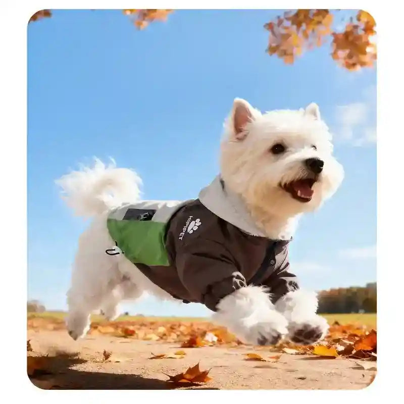 Impermeable para perros al aire libre - Capucha Bolsillos reflectantes