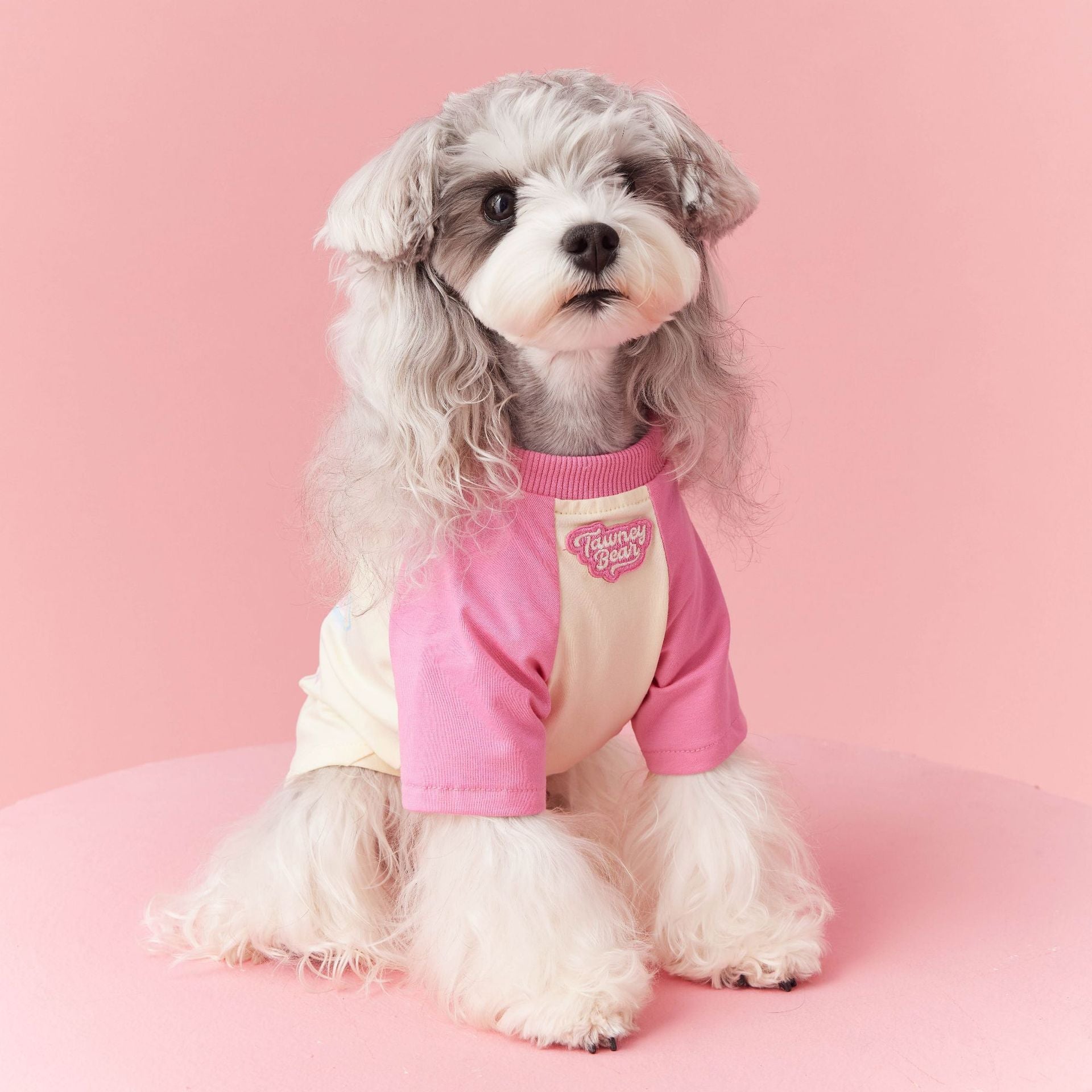 Maglietta a Maniche Lunghe per Cani di Piccola Taglia Modello "Towney Bear" – Stile e Comfort per il Tuo Cucciolo