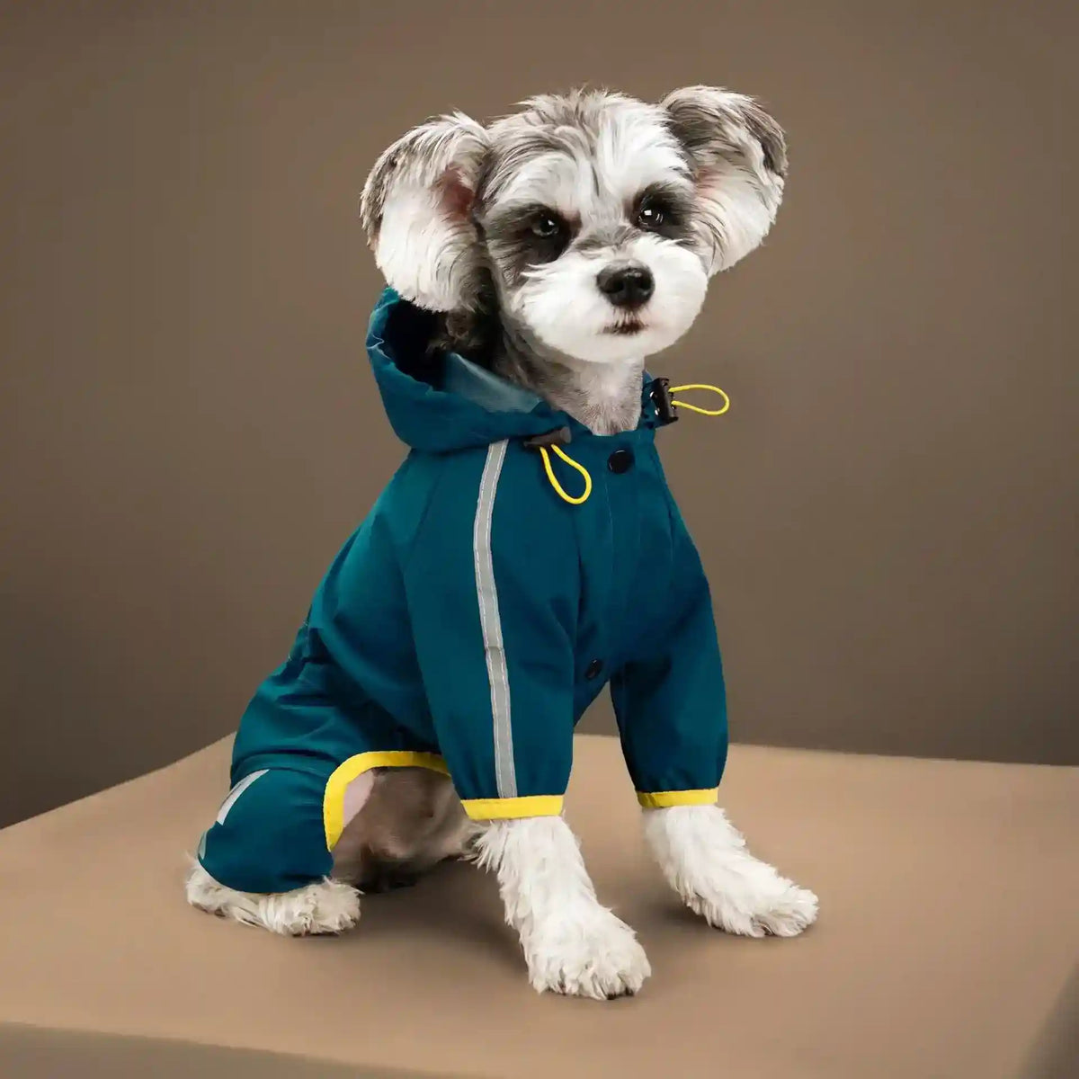 Impermeabile Cani 4 Zampe UrbanPaws - Antipioggia by Dog Moda