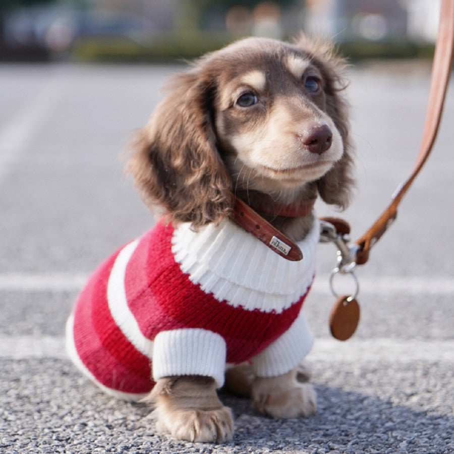 Maglioncino a Righe Bianche e Rosse per Cani – Adatto al Bassotto e Non Solo - Dog Moda