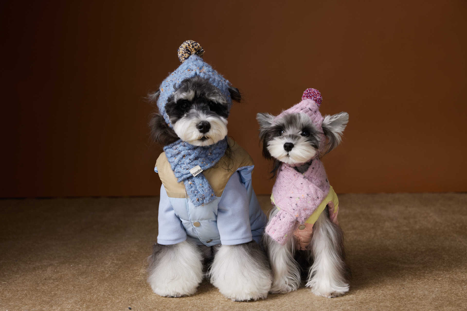 Cappotto Cane Imbottito Tawney Bear - Gilet Invernale