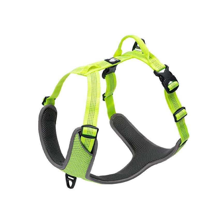 Pettorina Imbottita per Cani "Comfort Safe" - Dog Moda