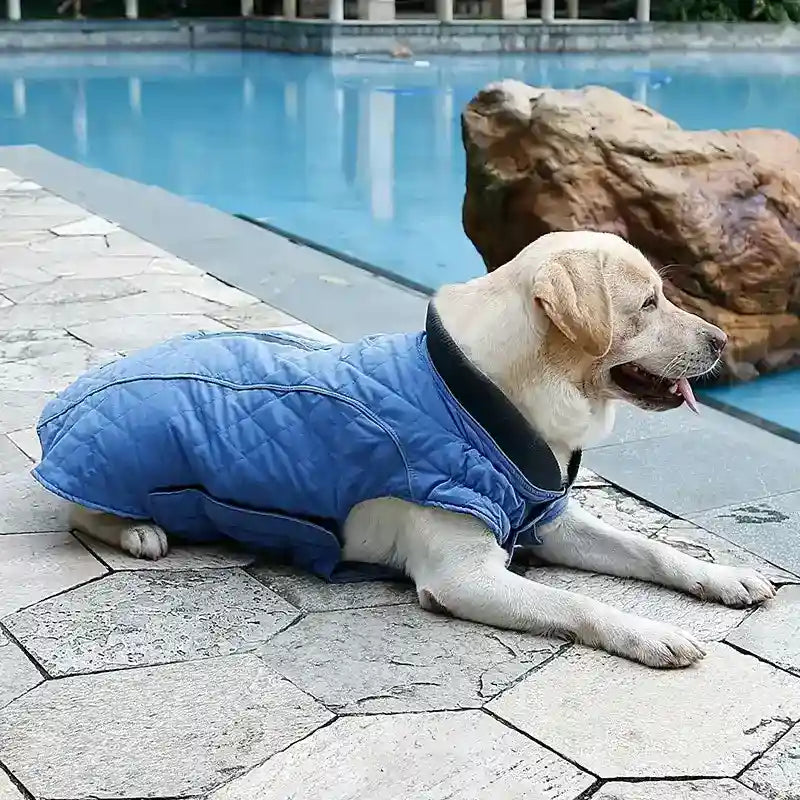 Cappotto Impermeabile Cani Imbottito con Inserti Riflettenti by Dog Moda
