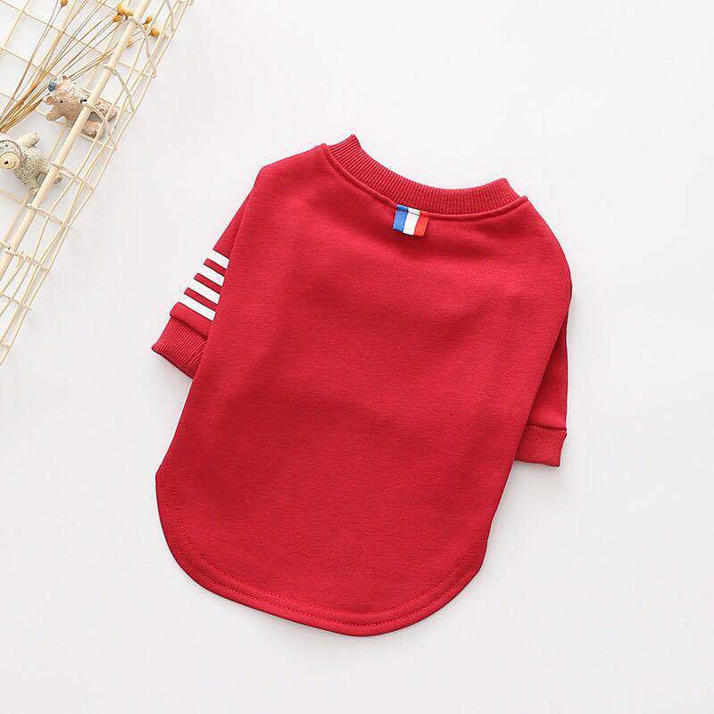Cotton Dog T-Shirt "Mignon" - Comfort, Style and Protection for Your Dog 