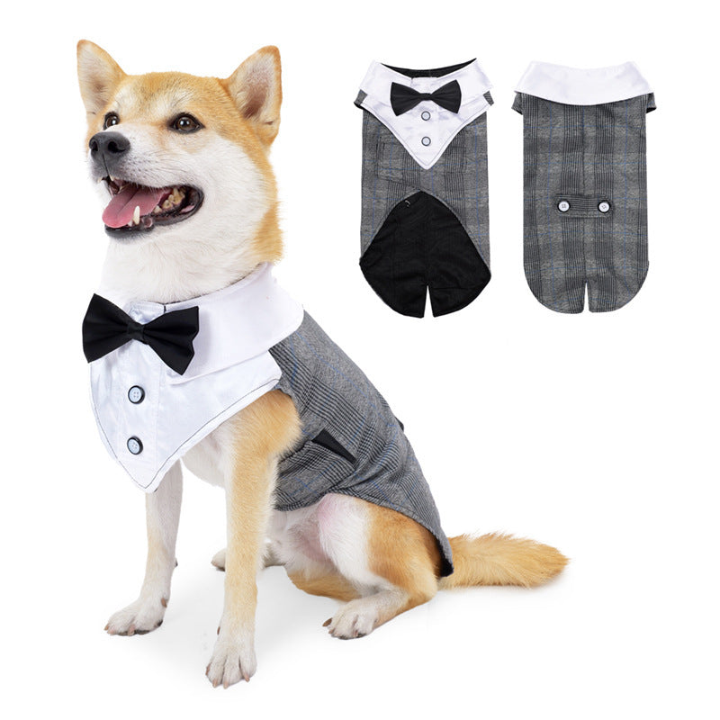 Dog Dress for Weddings and Birthdays Model "Suit"