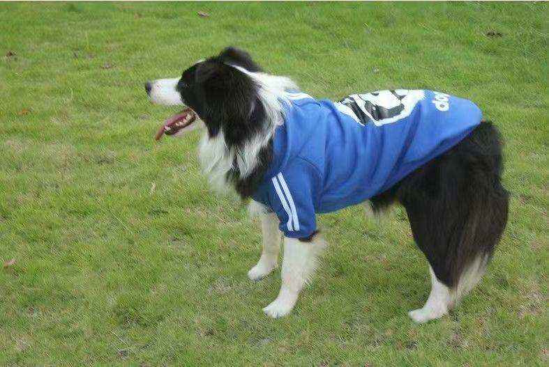 Felpa con Cappuccio per Cani Grandi - Orsetto e Panda by Dog Moda