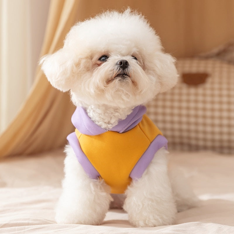 Teddy Bear Hoodie for Dogs and Cats - Warm