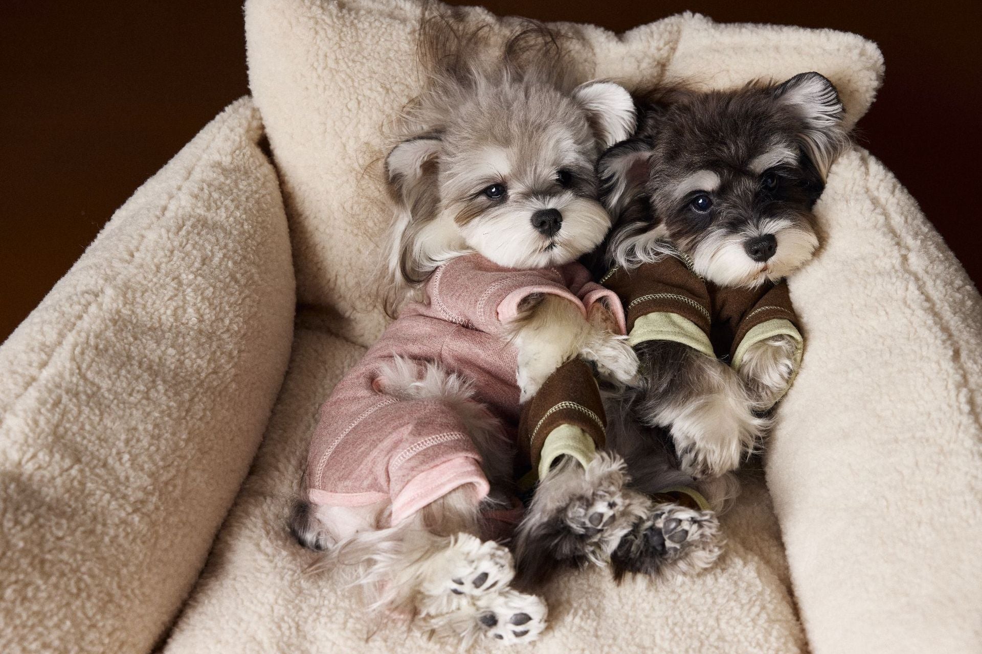 Tawney Bear Dog Onesie - Stretchy Comfort Pajamas