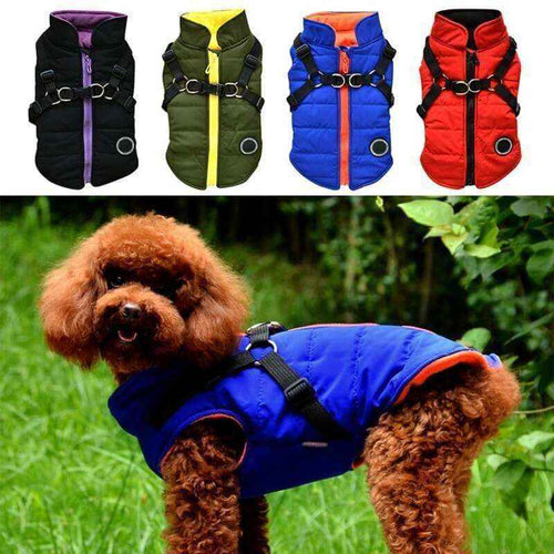Curly brown dog wearing blue and orange padded dog vest with harness; four vest color options displayed above