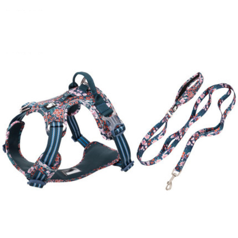 Complete set of adjustable dog leash and harness "TrueLove"