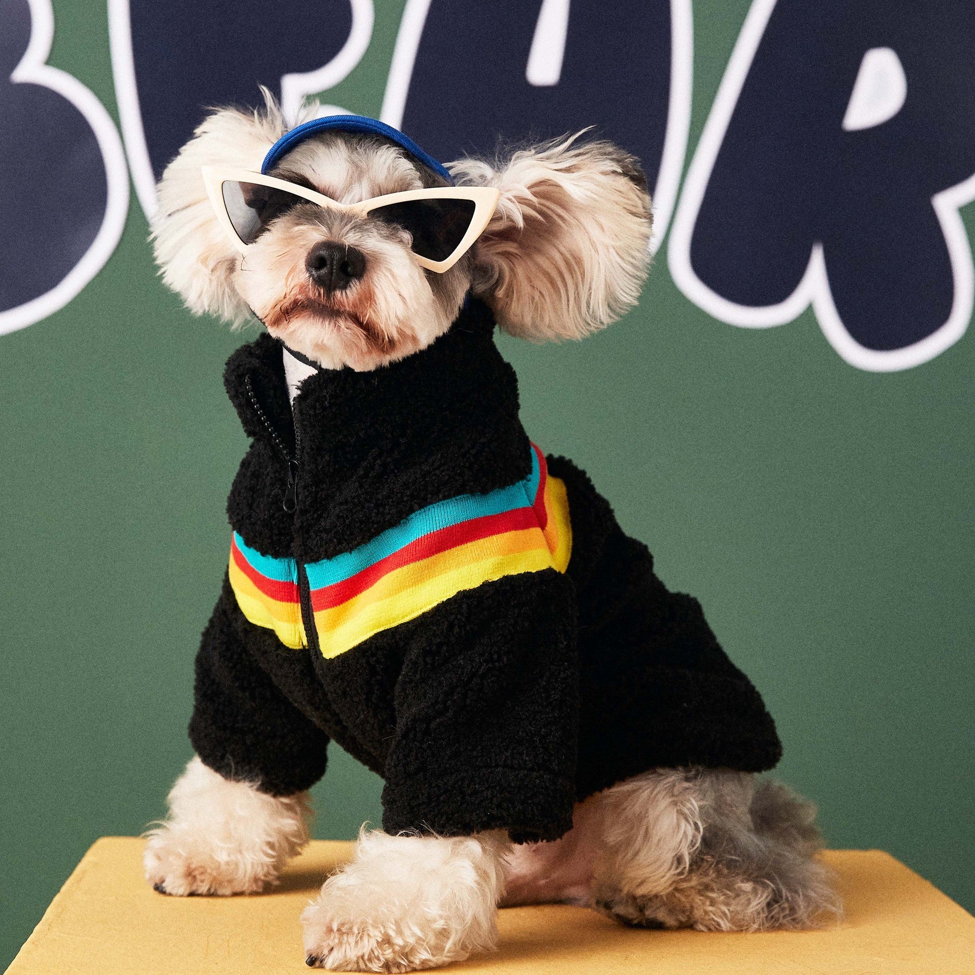 Bear Dog Fleece Coat - Multicolored Stripe Zip