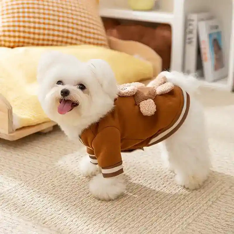 Maglia Orsetto per Cani - Ricamo 3D con Anello Pettorina by Dog Moda