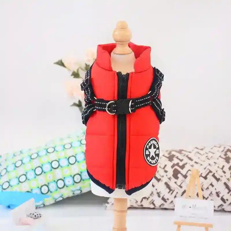 Cappotto Invernale per Cani Hall Star | Imbottito e Impermeabile by Dog Moda