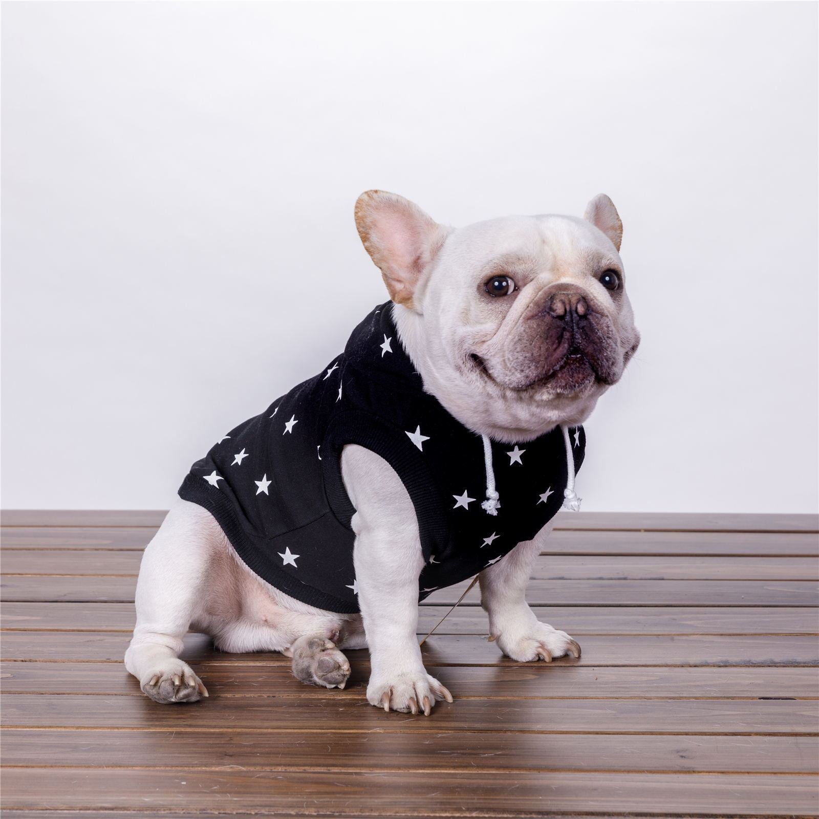 Bulldog Dog Hoodie "Hollywood" Comfort, style and protection for your four-legged friend