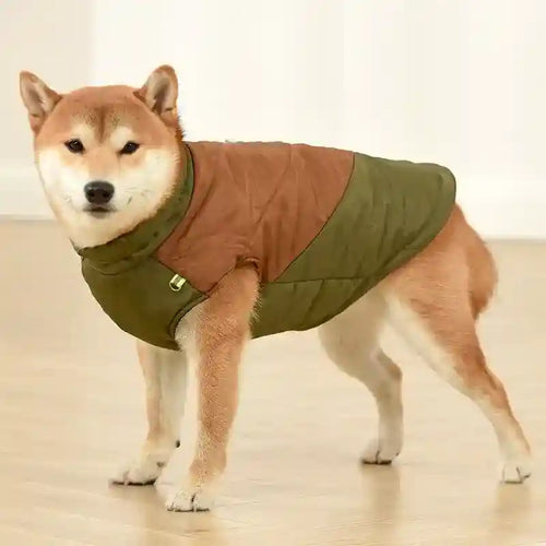 Cappotto per Cani Taglia Media e Grande | Zip, Riflettenti e Look Casual by Dog Moda