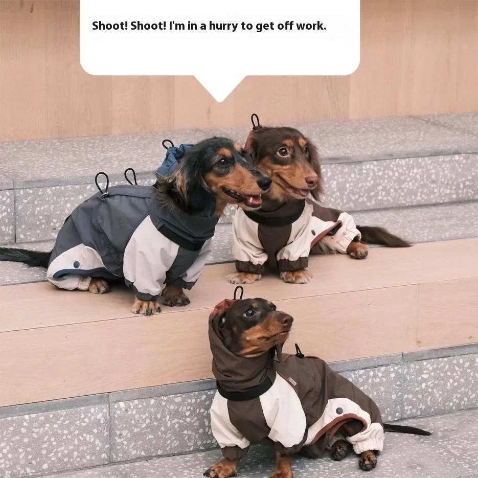 Cappotto impermeabile per Bassotto con zip e copertura totale