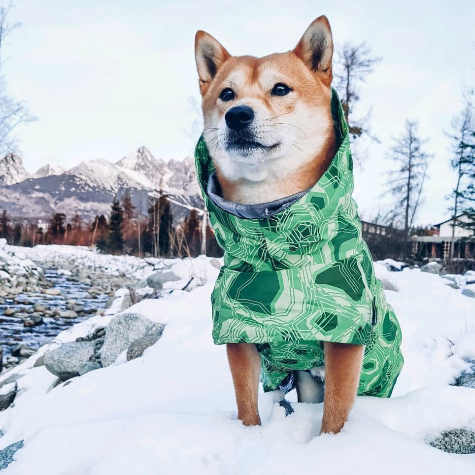 Cappotto Imbottito Neve per Cani Taglia Media e Grande