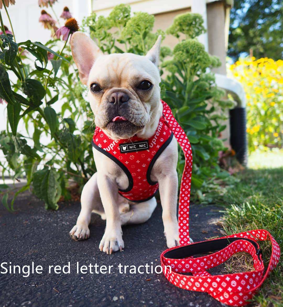 Red Pupreme Dog Harness and Leash Set "NicNic"