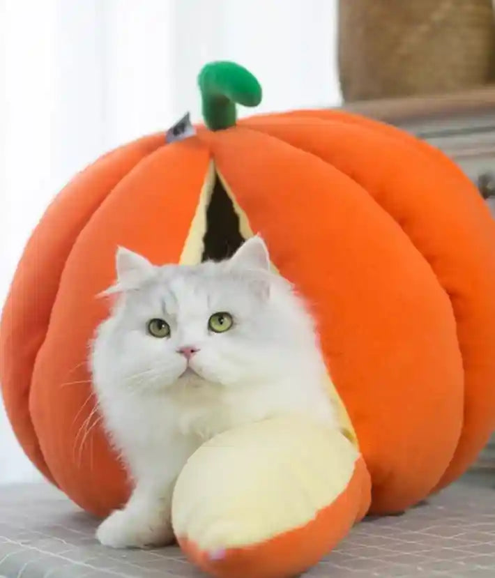 Pumpkin Cave Cat House - Warm and Enclosed