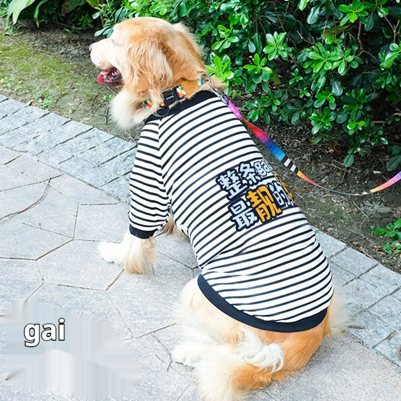 Large Dog Sweatshirt Striped with Colorful Print – Style and Comfort