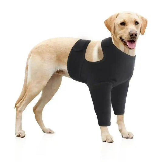 Tutore Zampe Anteriori Cani - Supporto Post Trauma e Prevenzione by Dog Moda