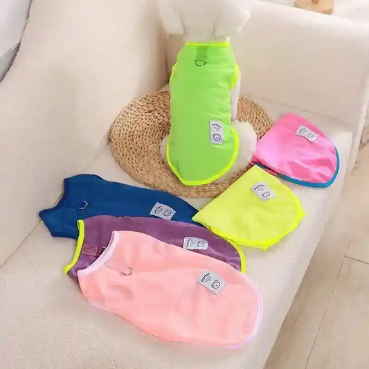 Maglietta per Cani "Lucky Bear" - Vest Smamicato con Anello per Guinzaglio by Dog Moda