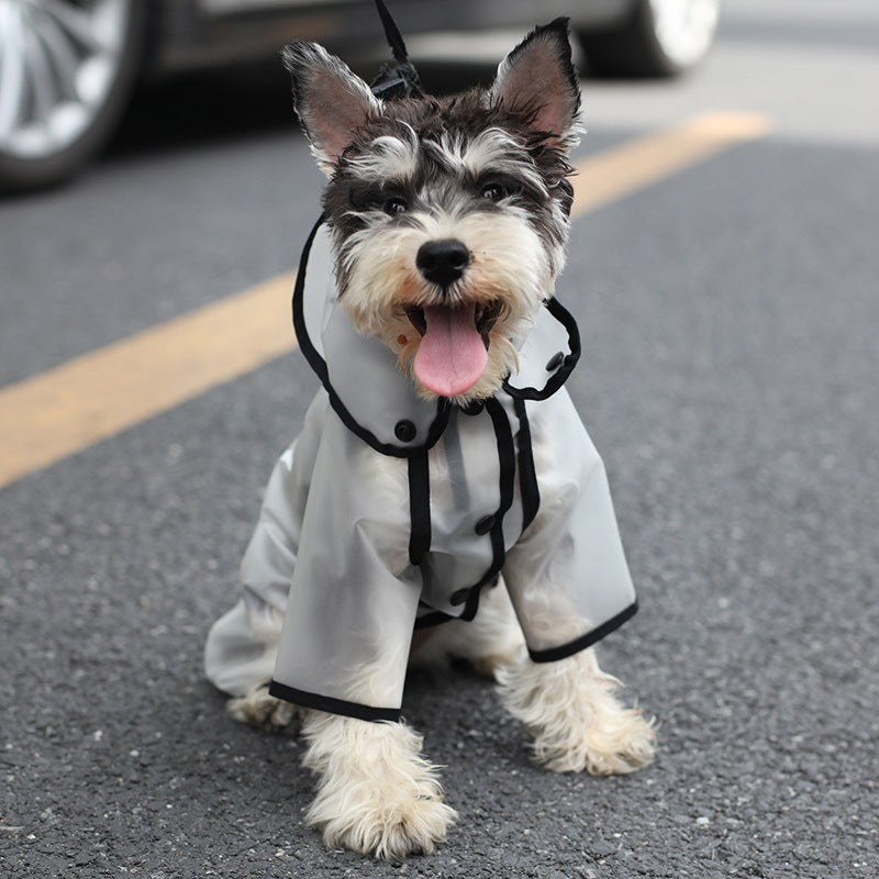 Raincoat for small and medium sized dogs "Cristal"