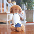 small brown poodle wearing white dog shirt with blue frog eyes design sitting on wooden floor indoors